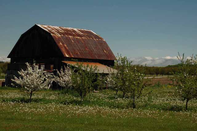 On a back road on the Old Missioni Peninsula